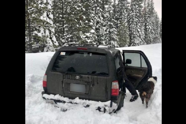 Jeremy R Taylor harus terjebak bersama anjingnya, Ally, terjebak di kendaraannya akibat hujan salju yang lebat selama lima hari. (Facebook/Deschutes County Sheriffs Office Oregon)