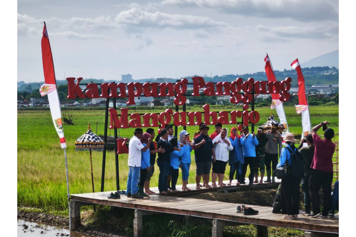 PGN bersama BRIN dan Pemkot Semarang bekerja sama dalam budi daya padi biosalin. 