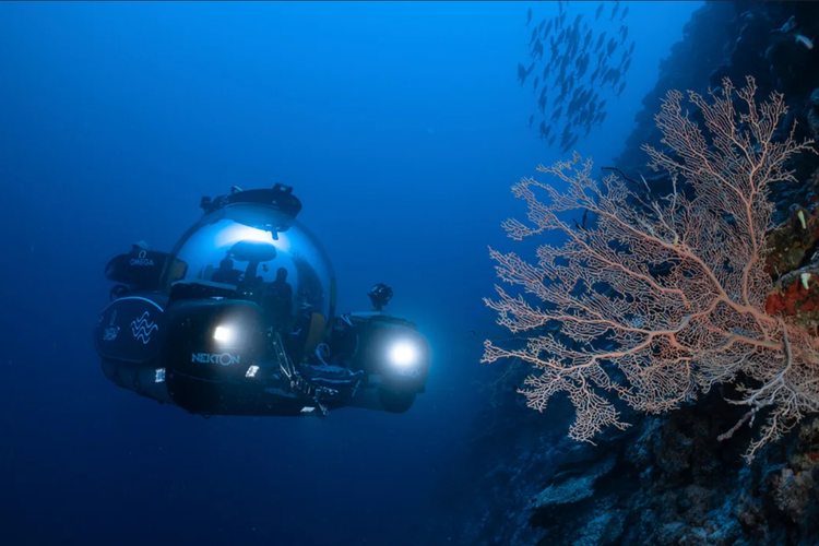 Ilustrasi kapal selam yang digunakan dalam proyek Ocean Cencus untuk mencari spesies baru di lautan dunia 

