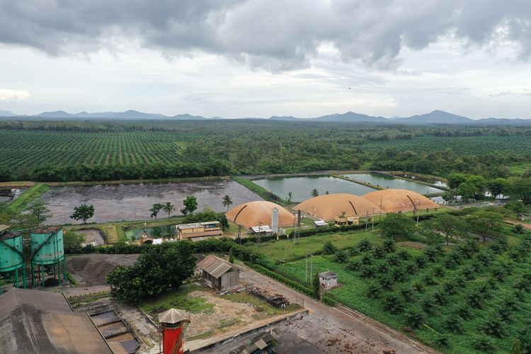 Pembangkit Listrik Tenaga Biogas berkapasitas 1,8 MW di Perkebunan Pulau Belitung.