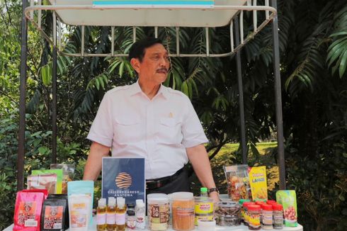 Luhut: Tidak Ada Kebijakan Saya yang Menghancurkan Anak-Cucu