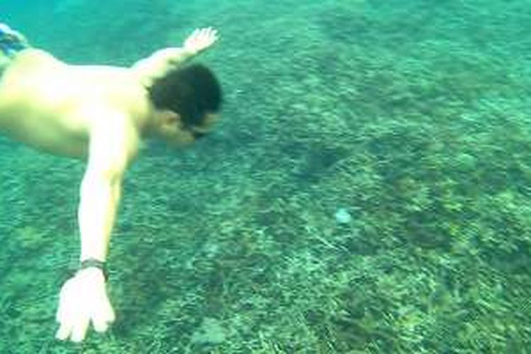 Salah satu titik snorkeling di gugusan Nusa Ceningan, Nusa Lembongan dan Nusa Penida, Kabupaten Klungkung, Bali yang populer, yakni Mangroove. 