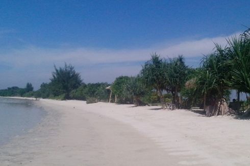 Bupati Kepulauan Seribu: Tak Boleh Ada Pungutan di Pantai Pulau Pari 