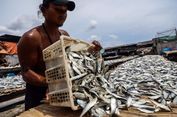 KKP Dorong Ratusan UMKM Pengolahan Ikan Naik Kelas