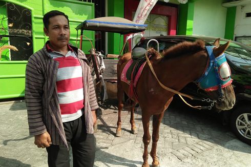 Berkah Kusir Delman di Gresik Saat Momen Tahun Baru Hijriah dan Agustusan