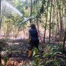 Warga Cianjur Tewas Saat Berusaha Padamkan Kebakaran Lahan