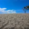 4 Gurun Pasir di Indonesia, Bisa Sandboarding dan Lihat Sunset