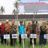 Kulon Progo Kembangkan Pertanian Bawang Merah di Lahan Pasir Pantai Selatan, Kepala DPP: Perputaran Uang Miliaran Rupiah