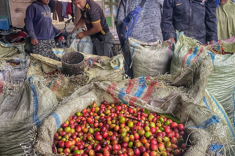 Imbas Bencana Aceh, Harga Biji Kopi Arabika di Pasar Lokal Naik 30-40 Persen