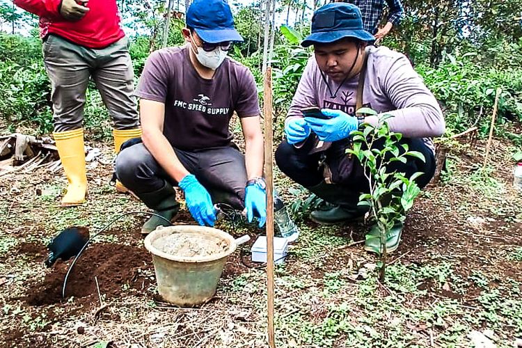 Hipmi Kabupaten Bandung Barat mengecek kandungan tanah di lahan tidur milik Desa Wangunjaya untuk pertanian jahe seluas 35 hektare di Kecamatan Cikalongwetan, Kabupaten Bandung Barat (KBB), Jawa Barat, Rabu (28/2/2024).