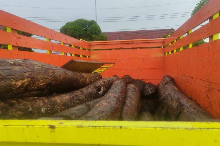 Puluhan kayu sonokeling hasil curian, dan diamankan di halaman parkir Polres Trenggalek, Rabu (01/02/2023).