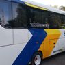 4 Jenis Bus untuk Transportasi Umum di IKN Nusantara