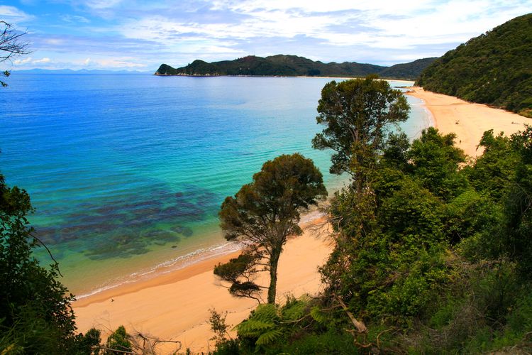 Pantai Awaroa, Pulau Selatan, Selandia Baru