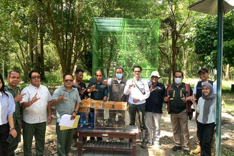 Gagal Diselundupkan di Pelabuhan Gilimanuk, 124 Burung Kicau Dilepasliarkan di TN Bali Barat