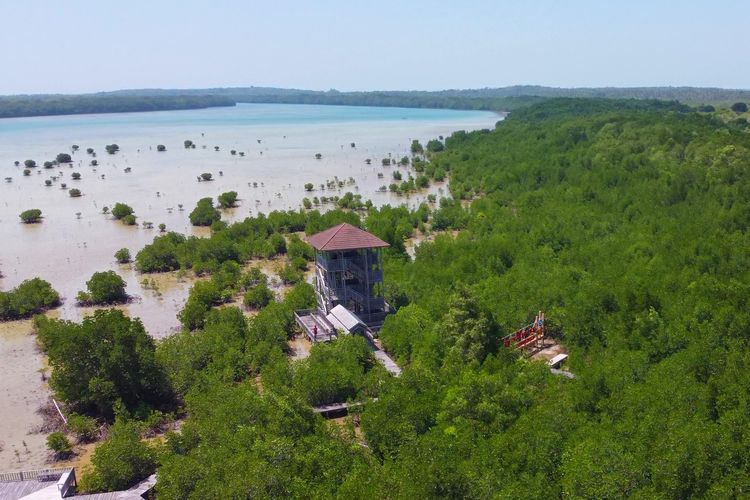 Menara pandang di Wisata Mangrove Karimunjawa.