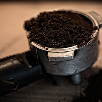 Ampas kopi dapat dimanfaatkan untuk kebutuhan tanaman, termasuk salah satunya sebagai pupuk.