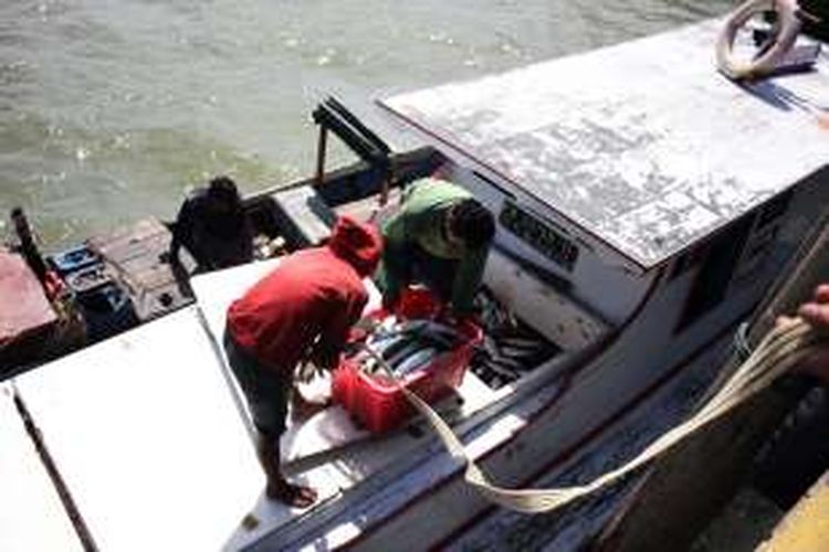 Nelayan di Sebatik, Nunukan, Kalimantan Utara, tengah memindahkan ikan hasil tangkapannya. Nelayan Sebatik tidak bisa menjual ikan mereka ke Malaysia karena pemerintah Malaysia memberlakukan peraturan khusus tentang standar kapal nelayan.