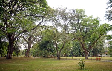Pasangan Ini Berhubungan Seks di Taman Umum, Tak Peduli meski Ada ...