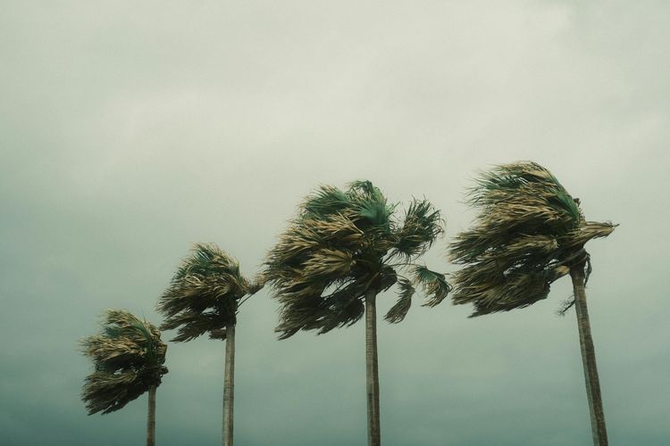 Gelombang panas, banjir, dan badai makin sering terjadi. Namun, jumlah korban jiwa menunjukkan pola yang tidak sederhana.