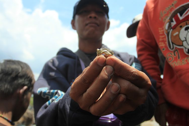 Warga menemukan perhiasan berupa lempengan emas dan manik-manik di kanal PT Samora Usaga Jaya Desa Pelimbangan, Kecamatan Cengal Kabupaten Ogan Komering Ilir (OKI), Sumatera Selatan, Selasa (8/10/2019).