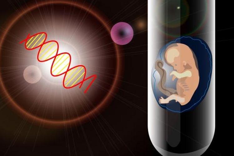Ilustrasi bayi tabung, program bayi tabung, kehamilan.