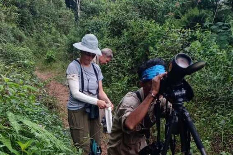 Wisatawan mancanegara sedang mengamati burung endemik Flores, NTT di Puar atau Hutan Puarlolo, Kecamatan Mbeliling, Kabupaten Manggarai Barat, Selasa, (23/5/2023).