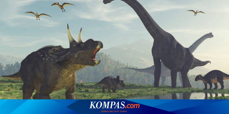 The World of Dinosaurs: Characteristics, Naming, and More