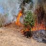 Pemadaman Terkendala, Kebakaran Hutan dan Lahan di Flores Timur Terus Meluas