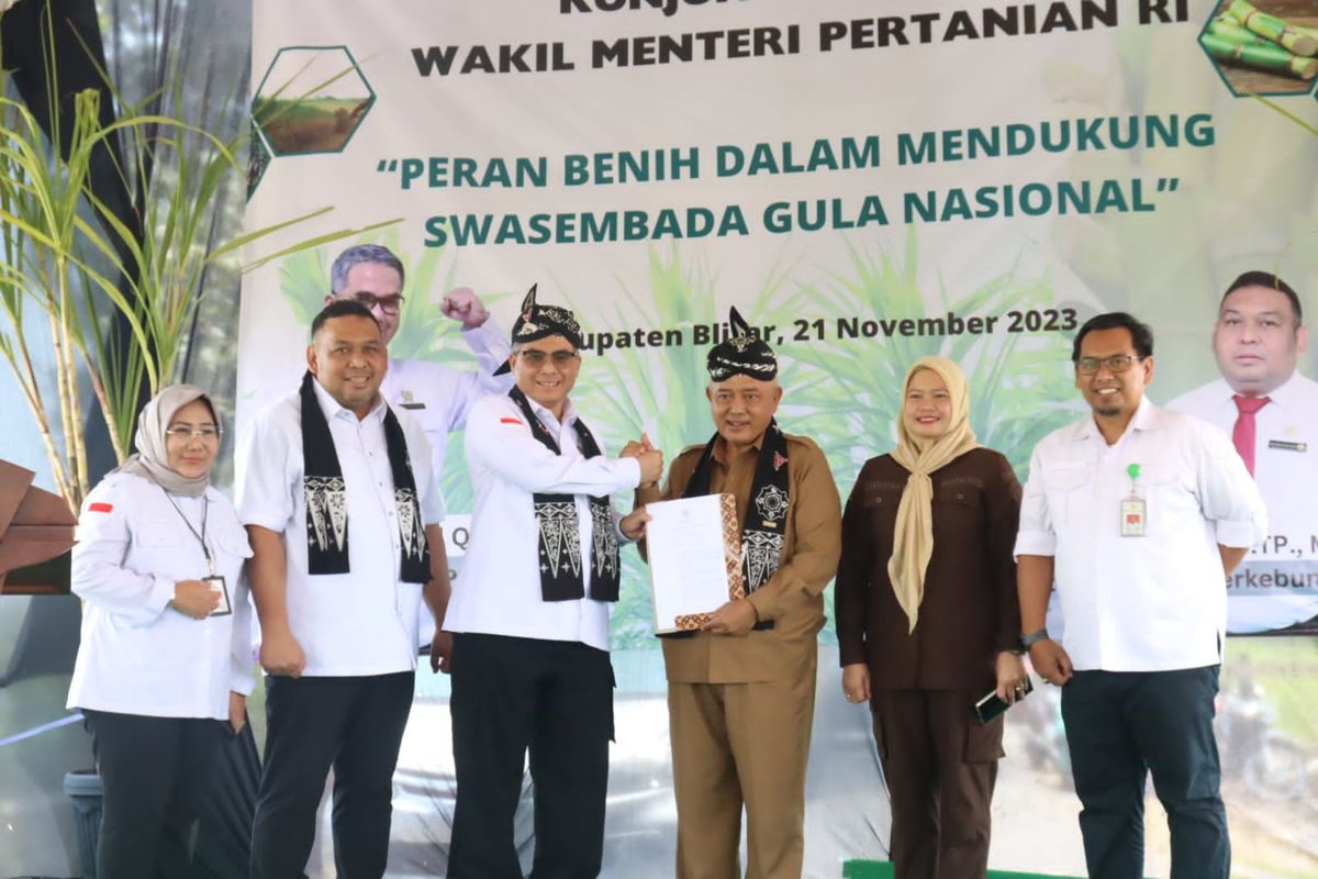 Wakil Menteri Pertanian (Wamentan) Harvick Hasnul Qolbi dan Direktur Jenderal Perkebunan (Dirjenbun) Andi Nur Alam Syah pada kegiatan tanam tebu di Blitar, Jawa Timur (Jatim), Selasa (21/11/2023).

