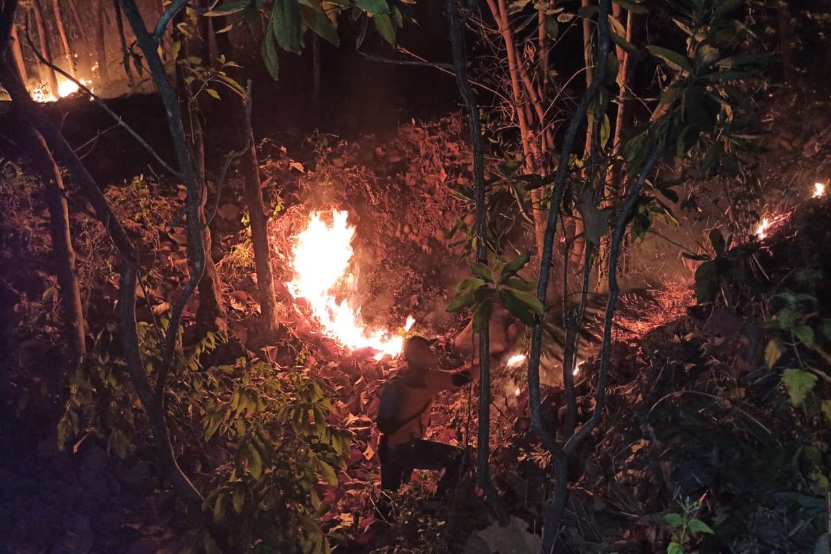 Kebakaran hutan dan lahan di kawasan Gunung Bancak, masuk wilayah Dukuh Sambiroto, Desa Garon, Kecamatan Kawedanan dan Dukuh Pager Gunung, Desa Balerejo, Kecamatan Kawedanan, Kabupaten Magetan, Kamis (5/9/2024) sore, menghanguskan 3 hektare tanaman kayu jati dan kayu campuran milik warga.