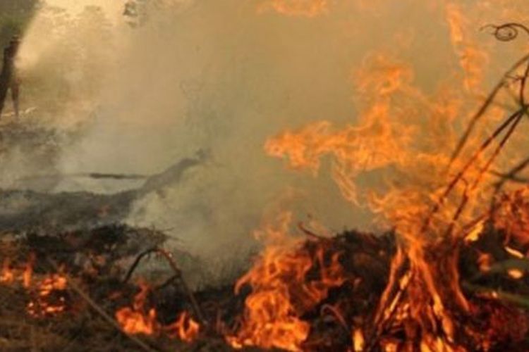 Petugas Manggala Agni Daops Kota Jambi mengupayakan pemadaman kebakaran lahan gambut di Kumpeh Ulu, Muarojambi, Jambi. Api masih membakar kawasan lahan gambut yang telah memasuki hari ke-19 pemadaman tersebut.