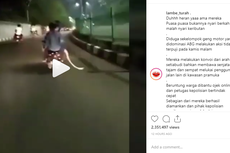 Viral Video Pengendara Motor Ugal-ugalan Bawa Senjata Tajam, Ini Kata Polisi