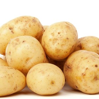 Ilustrasi kentang. 