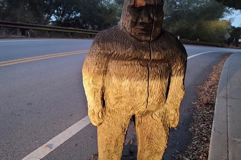 Seorang Anggota Parlemen Oklahoma Usulkan Musim Berburu 'Bigfoot'