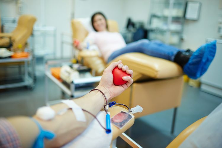Ilustrasi donor darah. Bisakah donor darah menurunkan tekanan darah?