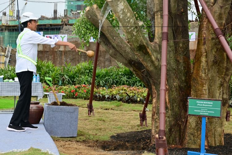 Presiden Joko Widodo saat menanam Pohon Beringin (Ficus Benjamina) di kawasan Istana Presiden yang berada di Ibu Kota Nusantara (IKN) pada Jumat (22/9/2023).