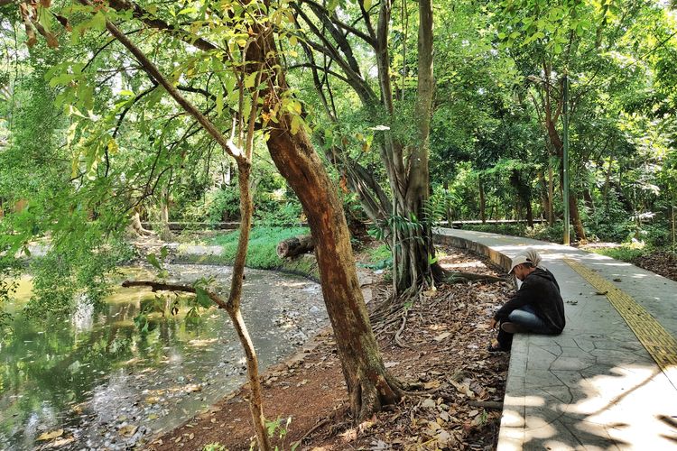 Pengunjung di Hutan Kota Srengseng, Jakarta Barat, Selasa (14/10/2025). 