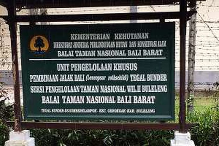 Pusat penangkaran jalak bali (Leucopsar rothschildi) di Taman Nasional Bali Barat di Tegal Bunder, Kecamatan Garokgak, Kabupaten Buleleng, Bali.