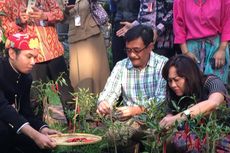 Kadis Pertamanan dan Pemakaman Diminta Perbaiki Taman di Lapangan Banteng