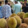 Pemkab Solok Selatan Gelar Lomba Kupas Buah Durian 
