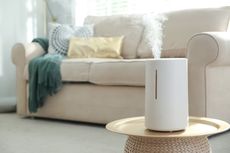 Ragam Bahaya Tidak Membersihkan Humidifier dan Cara Merawatnya
