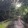 Pohon Tumbang di Persimpangan Kelapa Dua Menuju Margonda, Kendaraan Tak Bisa Melintas
