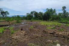 Sungai Gila Meluap, Puluhan Hektar Tanaman Padi Petani Rusak Kebanjiran