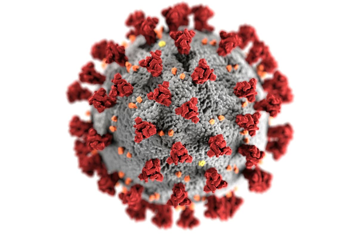 Anak-anak, lansia, dan individu dengan sistem imun lemah menjadi kelompok paling rentan terinfeksi Human Metapneumovirus (HMPV).