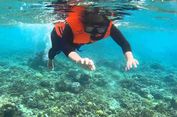 Bangsring Underwater Banyuwangi:Harga Tiket dan Jam Buka 2024