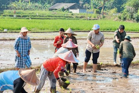 Kemarau Tetap Bisa Tanam, Petani Senang IP Naik 