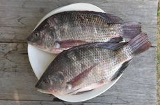 Tidak Hanya Lezat, Ini 6 Manfaat Mengonsumsi Ikan Nila