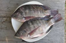 Ikan Apa yang Bisa Dimakan Penderita Gula Darah Tinggi?