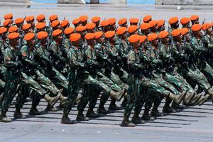 TNI Siapkan 20.000 Personel yang Miliki Kompetensi untuk Misi Perdamaian Gaza