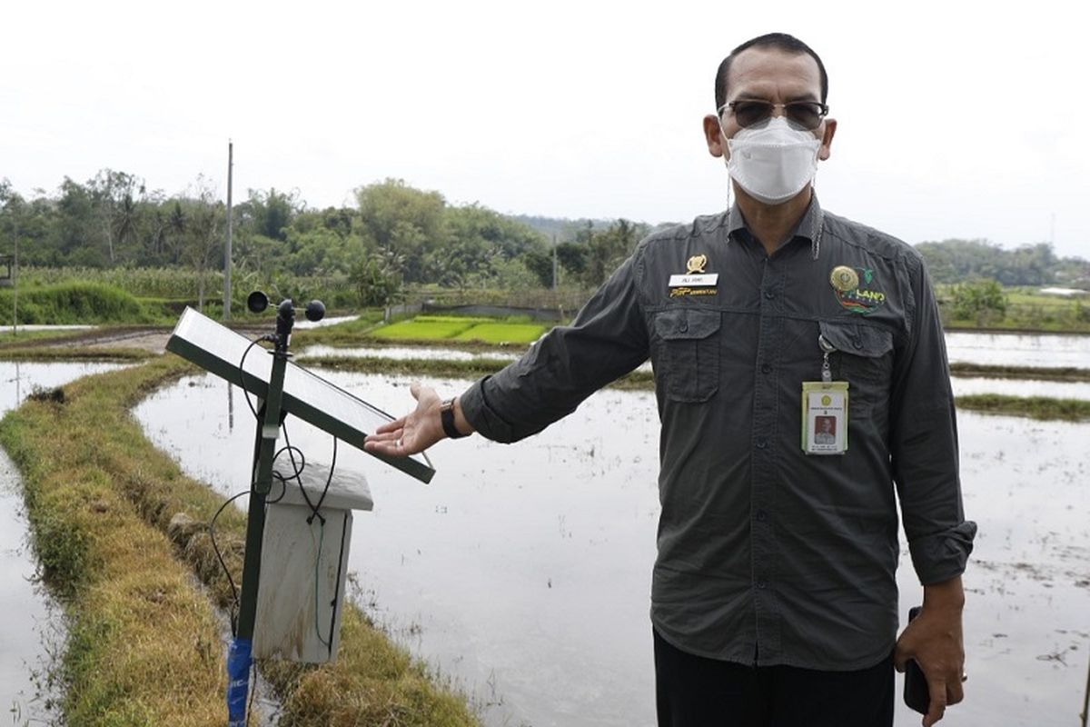 Direktur Jenderal (Dirjen) Prasarana dan Sarana Pertanian (PSP) Kementerian Pertanian (Kementan) Ali Jamil meninjau langsung pertanian padi di Subak Delod Getakan, Klungkung, Rabu (15/6/2022). 